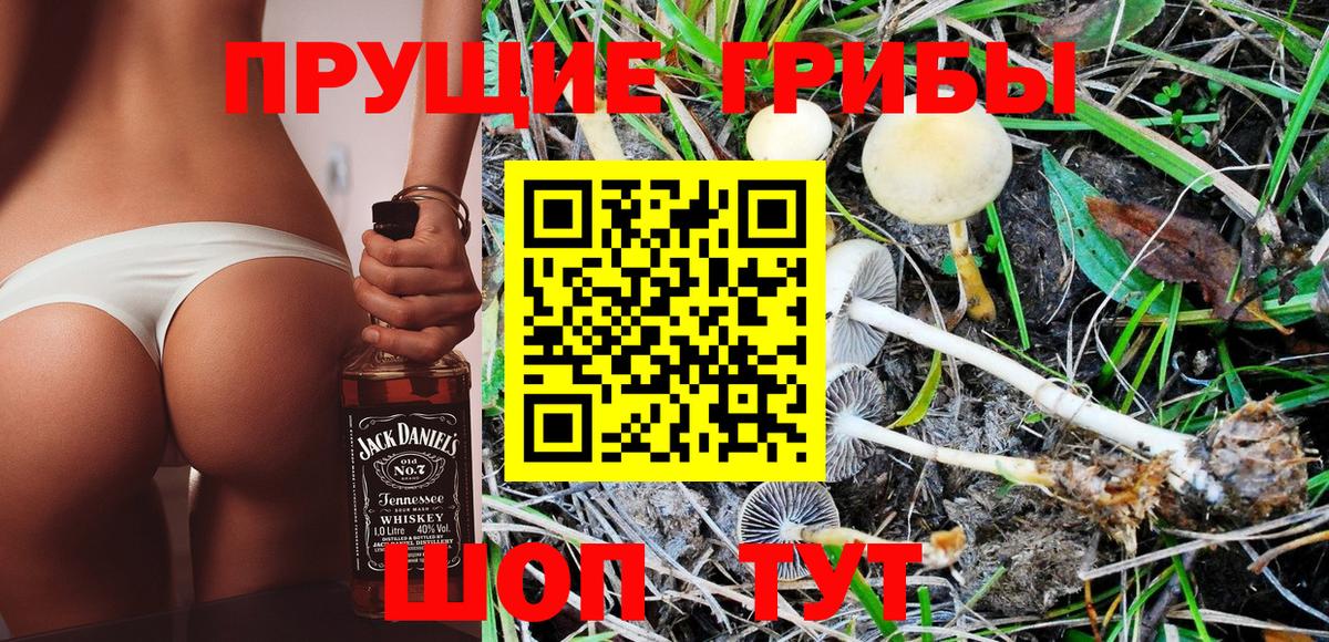 Псилоцибиновые грибы Magic Shrooms Саянск
