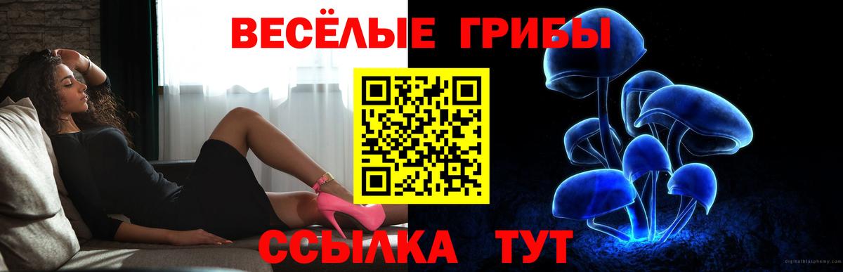 Саянск  Галлюциногенные грибы GOLDEN TEACHER  Вход с VPN 